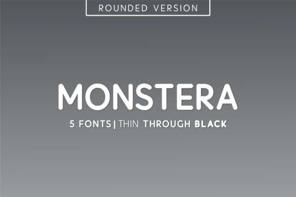 Monstera: A Detailed Look at a Versatile Sans-Serif Typeface